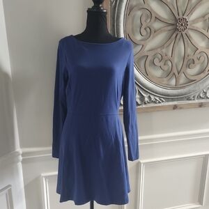 Athleta Classic Long Sleeve Cute Blue Dress